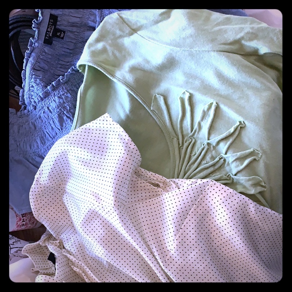 Talbots women’s blouses and shirts bag full